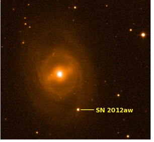 SN2012aw w M95