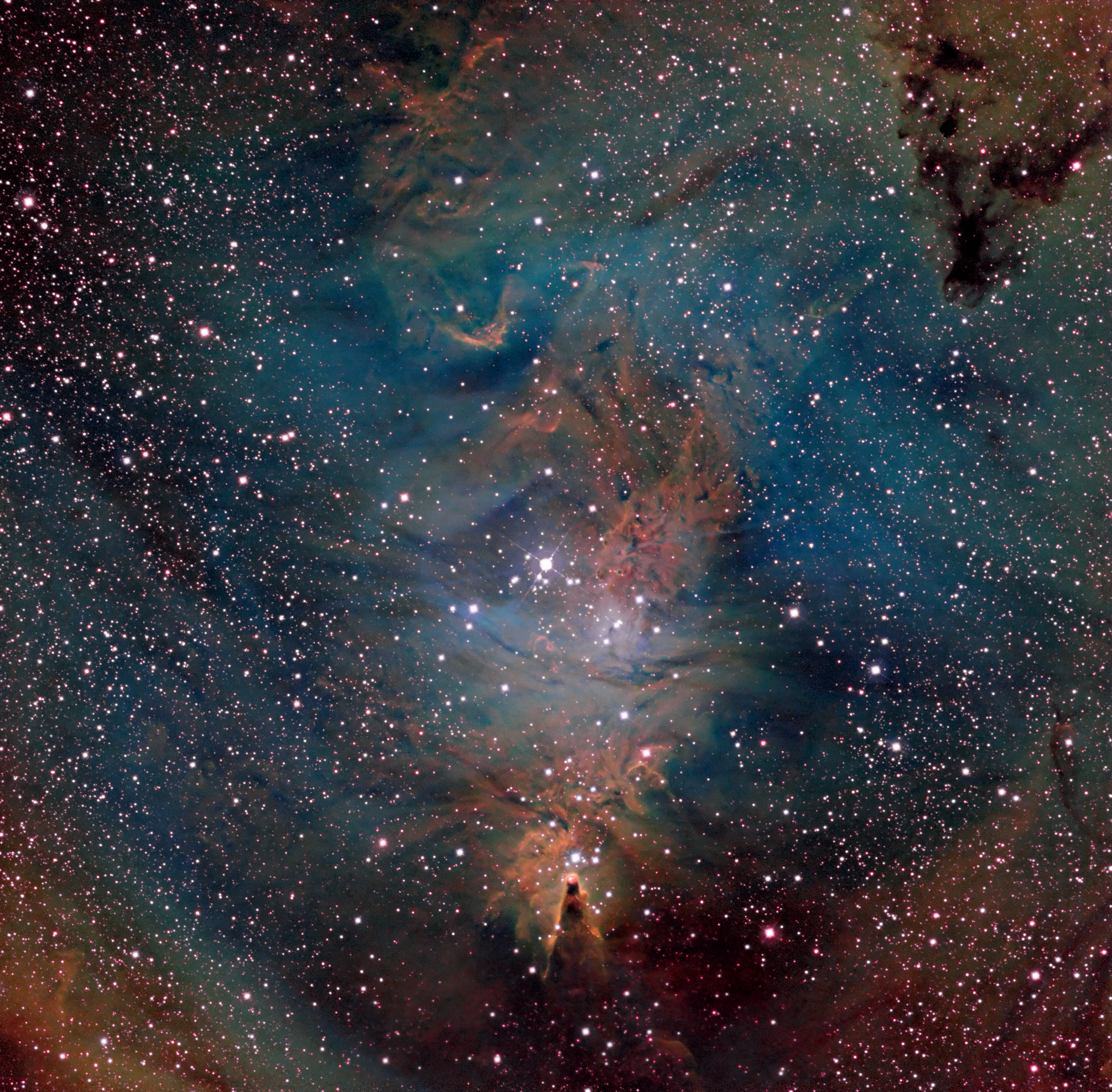 NGC 2264