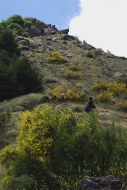 Etna