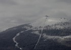 IMG 4491
