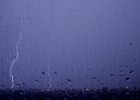 IMG 4019