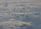 IMG 3152