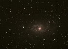 M33