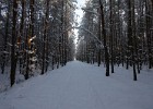 IMG 9538