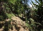 IMG 389