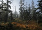 IMG 0413
