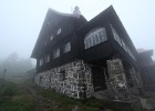 IMG 6601