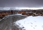 IMG 7420