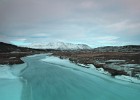 IMG 7558