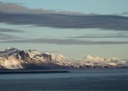 IMG 9248