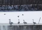 IMG 0197