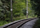 IMG 5327