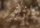IMG 7911