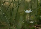 IMG 4390