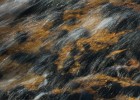 IMG 4884