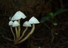 IMG 5753
