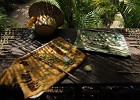 IMG 7147