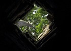 IMG 9024