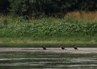 IMG 4005
