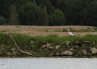 IMG 4029
