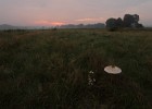 IMG 6973
