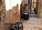 IMG 7647