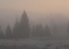 IMG 8343
