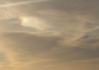 IMG 2559