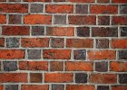 IMG 0180