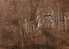 IMG 5315