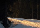 IMG 6284