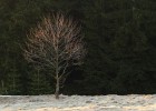 IMG 7691