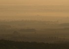 IMG 8950