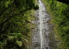 IMG 6249