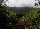 IMG 7661