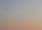 IMG 3382