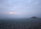 IMG 6159