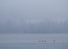 IMG 6202