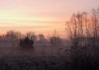 IMG 7322