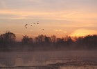 IMG 7334