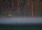 IMG 8780