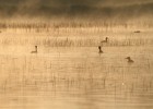 IMG 8809