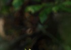 IMG 8881
