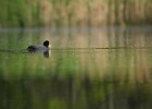 IMG 8939