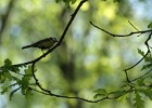 IMG 9051