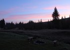 IMG 0090